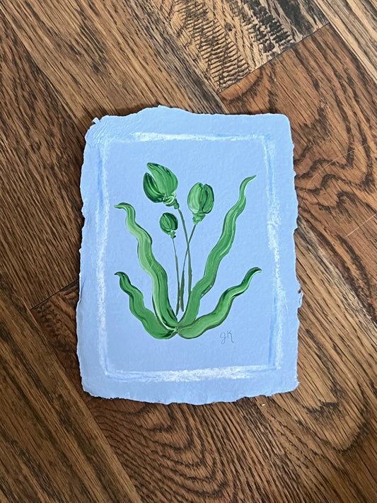 Mini Bloom xix