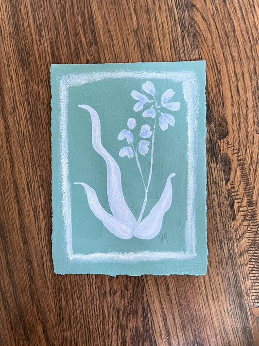 Mini Bloom xiv