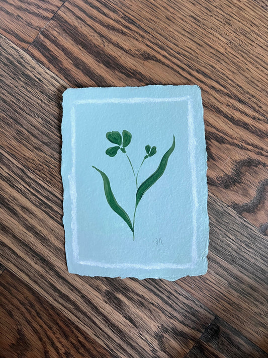 Mini Bloom xi